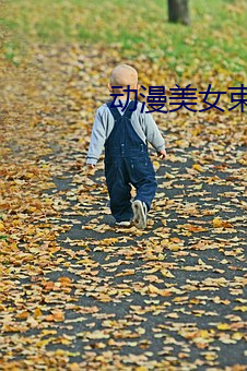 动漫美女束(束)缚
