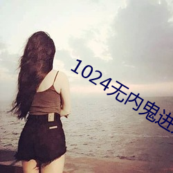 1024无内鬼进入