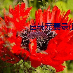 首辅宠妻(qī)录(重(zhòng)生)