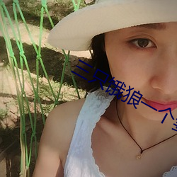 三(三)只饿狼一个妻
