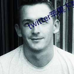 twitter苹果下载app