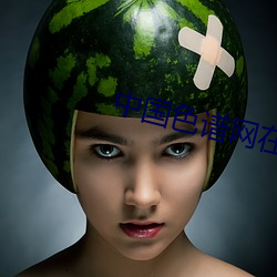 中國色譜網在線看