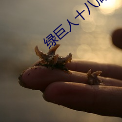 绿巨人十八周岁