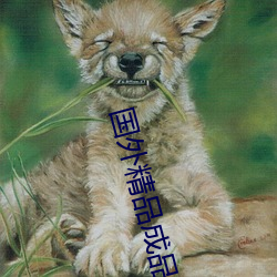 國外精品成品人入口蘋果未刪減版:一鍵登錄不用會員就可以