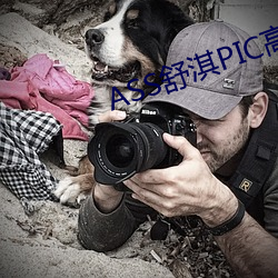 ASS舒淇PIC高潮