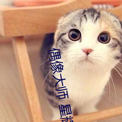 偶像大师(師) 星(星)耀季节