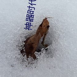 神器时(shí)代 小说