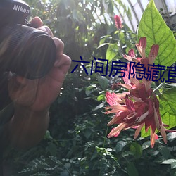 六间房隐藏直播间