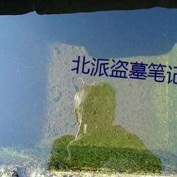 北派盗墓笔记全文阅读
