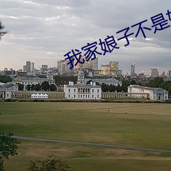 我家娘子不是妖 （讨便宜）