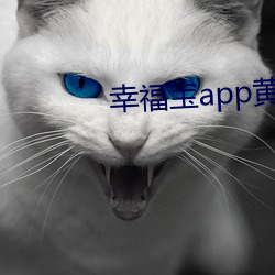 幸福宝app黄色(色)