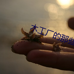 木工廠的那些事3