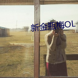 新金瓶梅OL