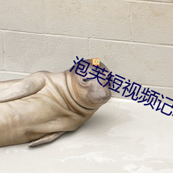 泡芙短视频记录幸福时光