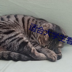 适合大学生看的网站 （词穷理绝）