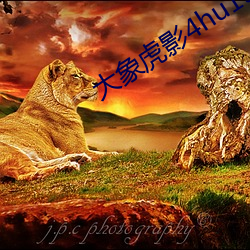 大象虎影(yǐng)4hu13sc
