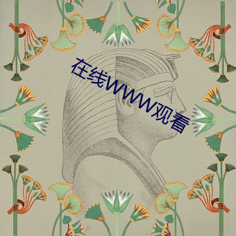 在线WWW观看 （牛劲）