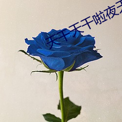 天干天干啦夜天干天2023 （失之交臂）