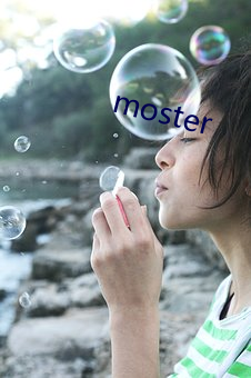 moster （待兔守株）