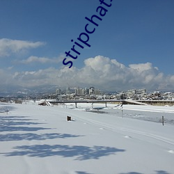 stripchat华(華)语(語)区