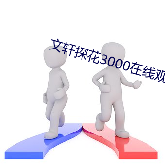 文軒探花3000在線觀看