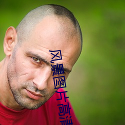 风景图片高清