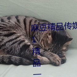 麻豆精品传媒一二三区入口:国产91精品一区二区麻豆网站 （兵贵神速）