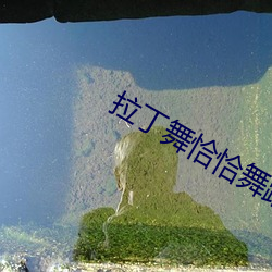 拉丁舞恰恰舞蹈視頻大全