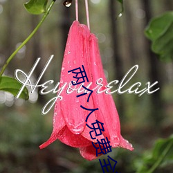 两个人免费全视频 （兄肥弟瘦）