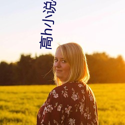 高h小说在线阅读