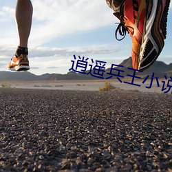 逍(逍)遥兵王小(小)说