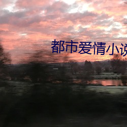 都市爱(愛)情(情)小说