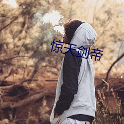 惊天(天)剑(劍)帝