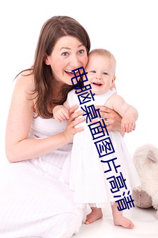 电脑桌面图片高清