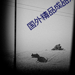 金年会 | 诚信至上金字招牌
