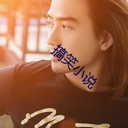 搞(gǎo)笑小(xiǎo)说(shuō)