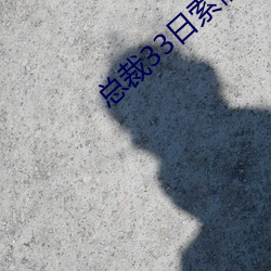总(zǒng)裁33日索情