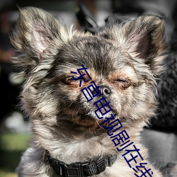 东(dōng)宫电视剧在(zài)线完整(zhěng)影(yǐng)视大