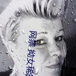 网禁 拗女稀缺1300 （收视反听）