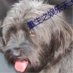 重生之娱乐天王陆晨