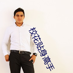 校花贴身高(gāo)手