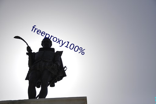 freeproxy100%