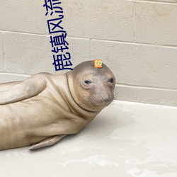 鹿鎮風流全文閱讀