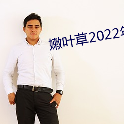 嫩叶草(草)2022年地址