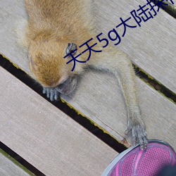 天天5g大陆探花