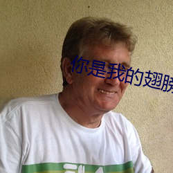 你是我的翅膀