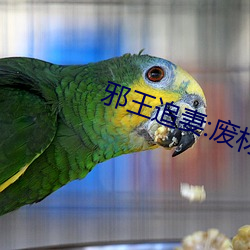 邪王(王)追妻(妻):废(廢)材逆天(天)小姐(姐)