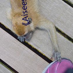 Aiseesoft ݱ