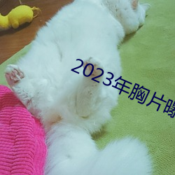 2023年胸片曝光