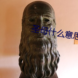 圣母什么意思形容人